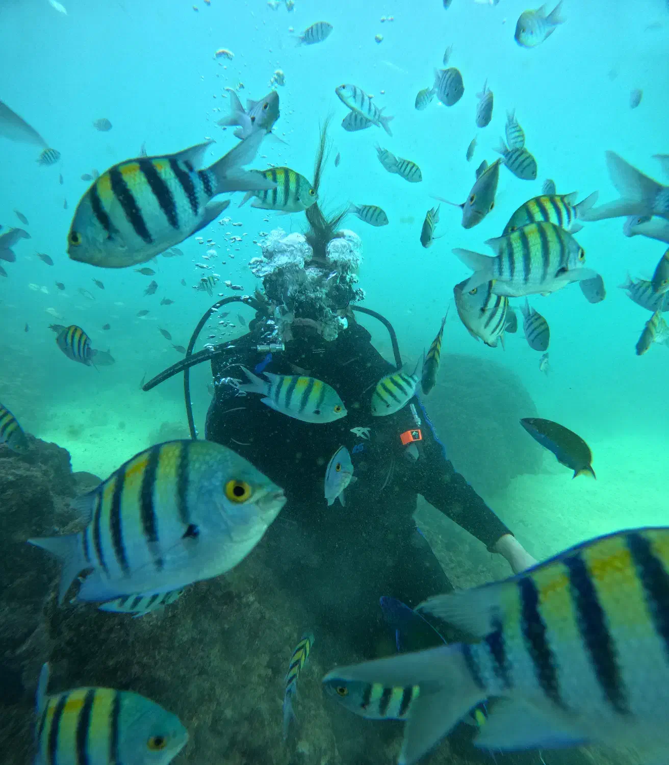 غواصی تفریحی|غواصی و ورزش‌های آبی|قشم, |دیوار