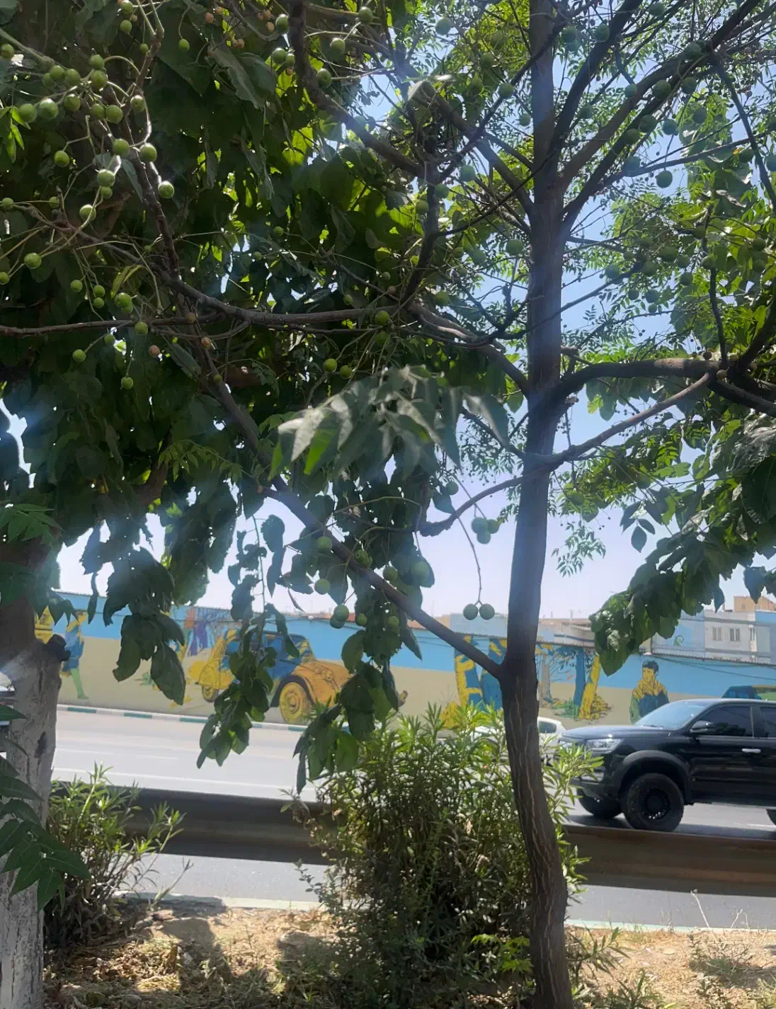 استخدام معلم خصوصی ابتدایی|استخدام آموزشی|صفادشت, |دیوار