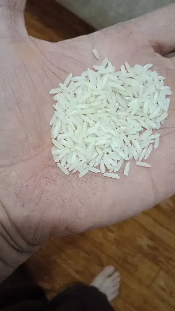 برنج پرمحصول فجر|خوردنی و آشامیدنی|رشت, معلولین|دیوار