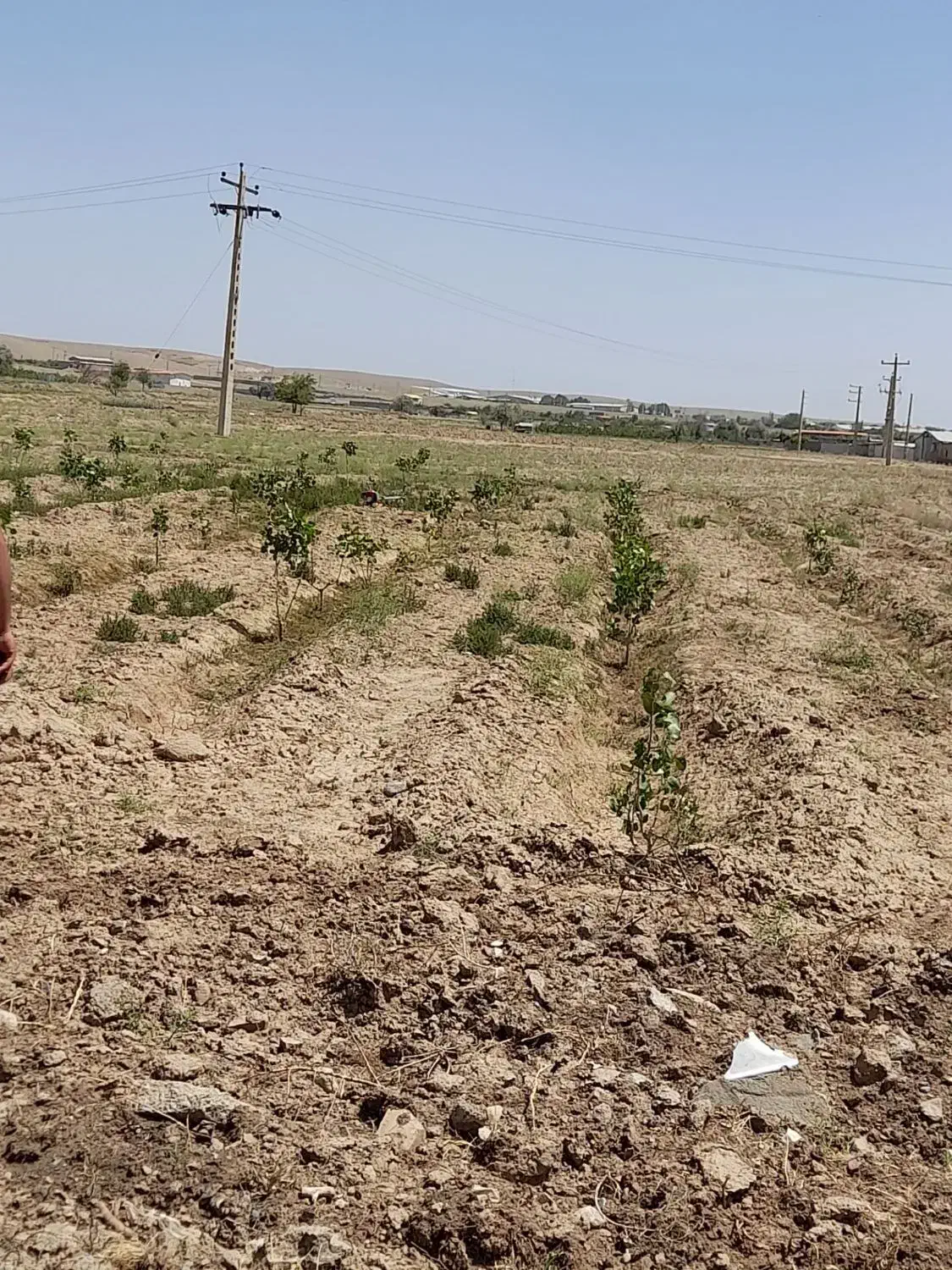 فروش۱۰۰۰مترزمین در کنار آسفالت جاده شبستر صفیان|فروش زمین و ملک کلنگی|شبستر, |دیوار