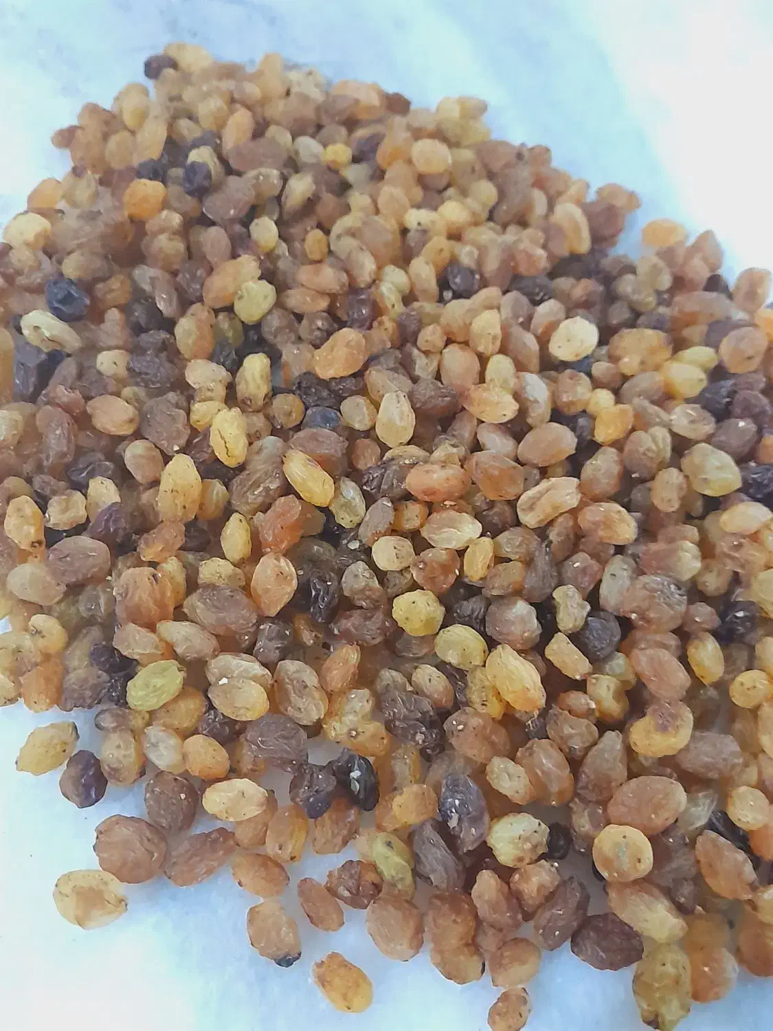کشمش پاک کرده درجه ۱|خوردنی و آشامیدنی|شیروان (خراسان), |دیوار