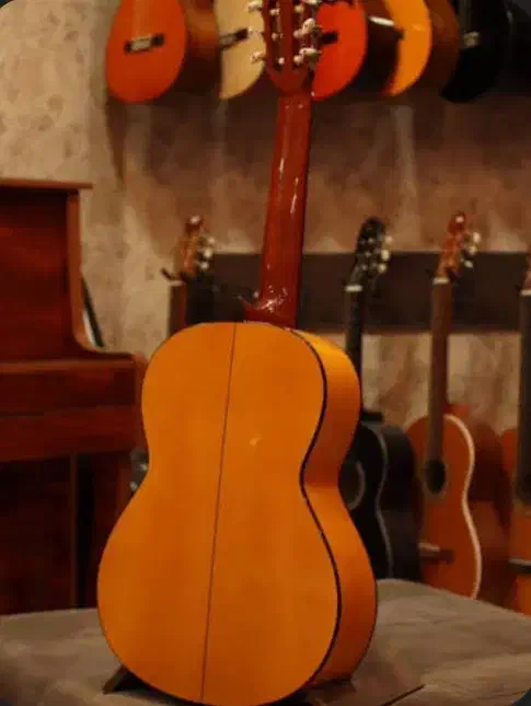 ساز کلاسیک|گیتار، بیس، امپلیفایر|تالش, هشتپر|دیوار