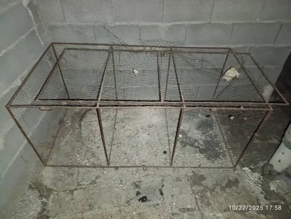 قفس کبوتری|لوازم جانبی حیوانات|کازرون, |دیوار