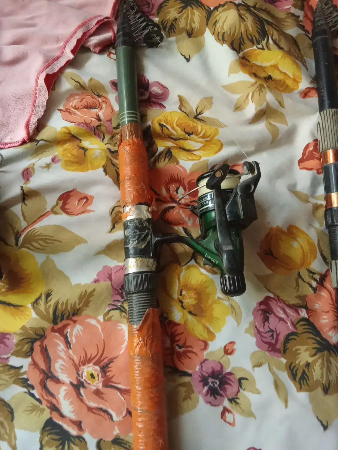 لنسر ماهیگیری|ماهیگیری|گرگان, |دیوار