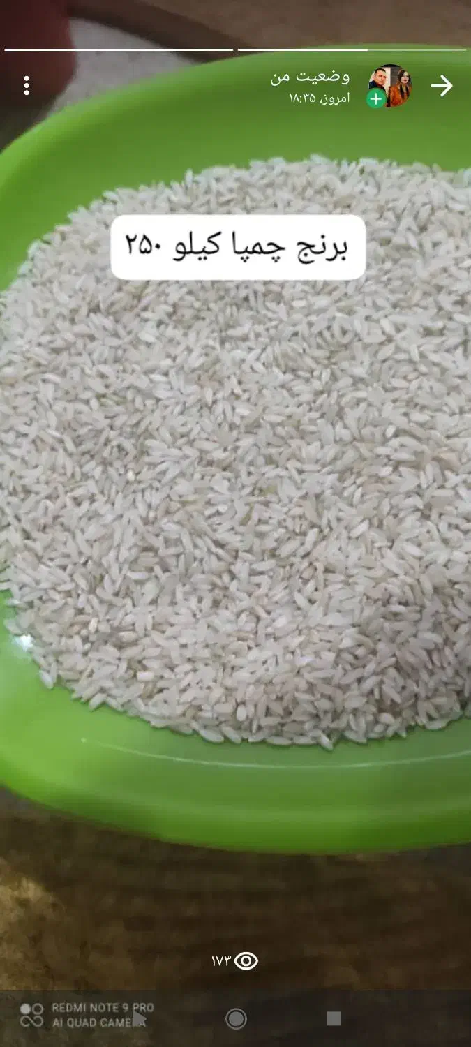 برنج چمپا یاسوج|عمدهفروشی|بندر گناوه, |دیوار