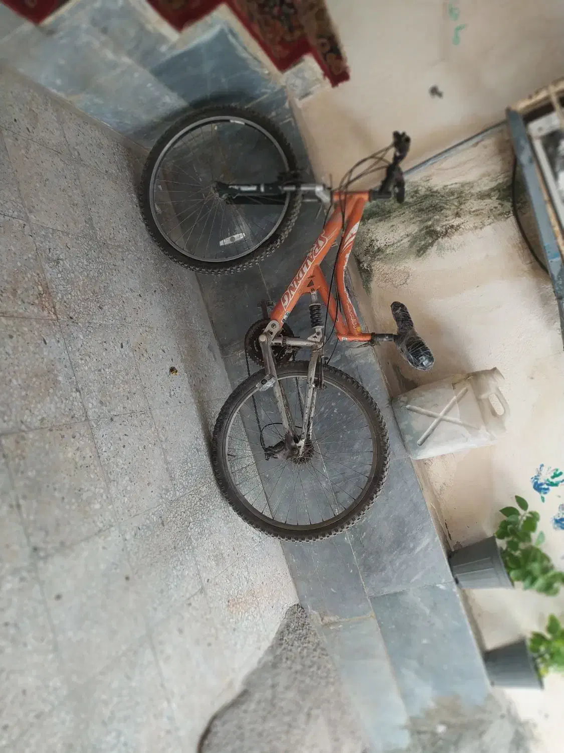 سالم|دوچرخه، اسکیت، اسکوتر|چابهار, |دیوار