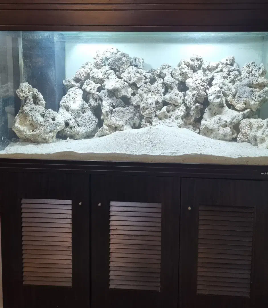 فروش آکواریوم شرکتی زیبا درحدنو|ماهی|شوشتر, |دیوار