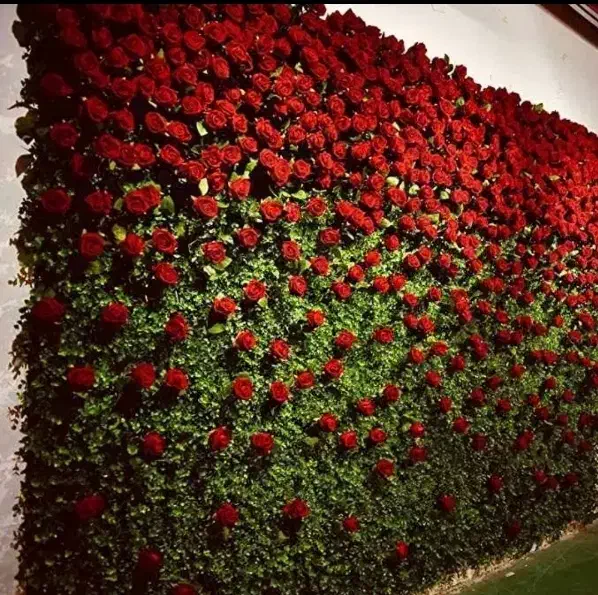 پخش و نصب گرینوال و دیوار سبز|گل مصنوعی|ارومیه, |دیوار