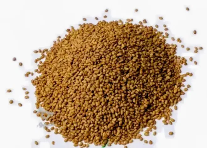 فروش بذر یونجه و شبدر و شنبلیله|خدمات باغبانی و درختکاری|ایلخچی, |دیوار