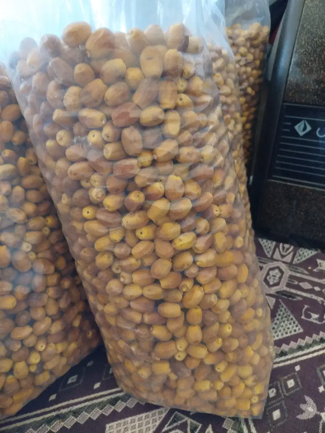 قصب سفید تازه|حراج|خفر, |دیوار