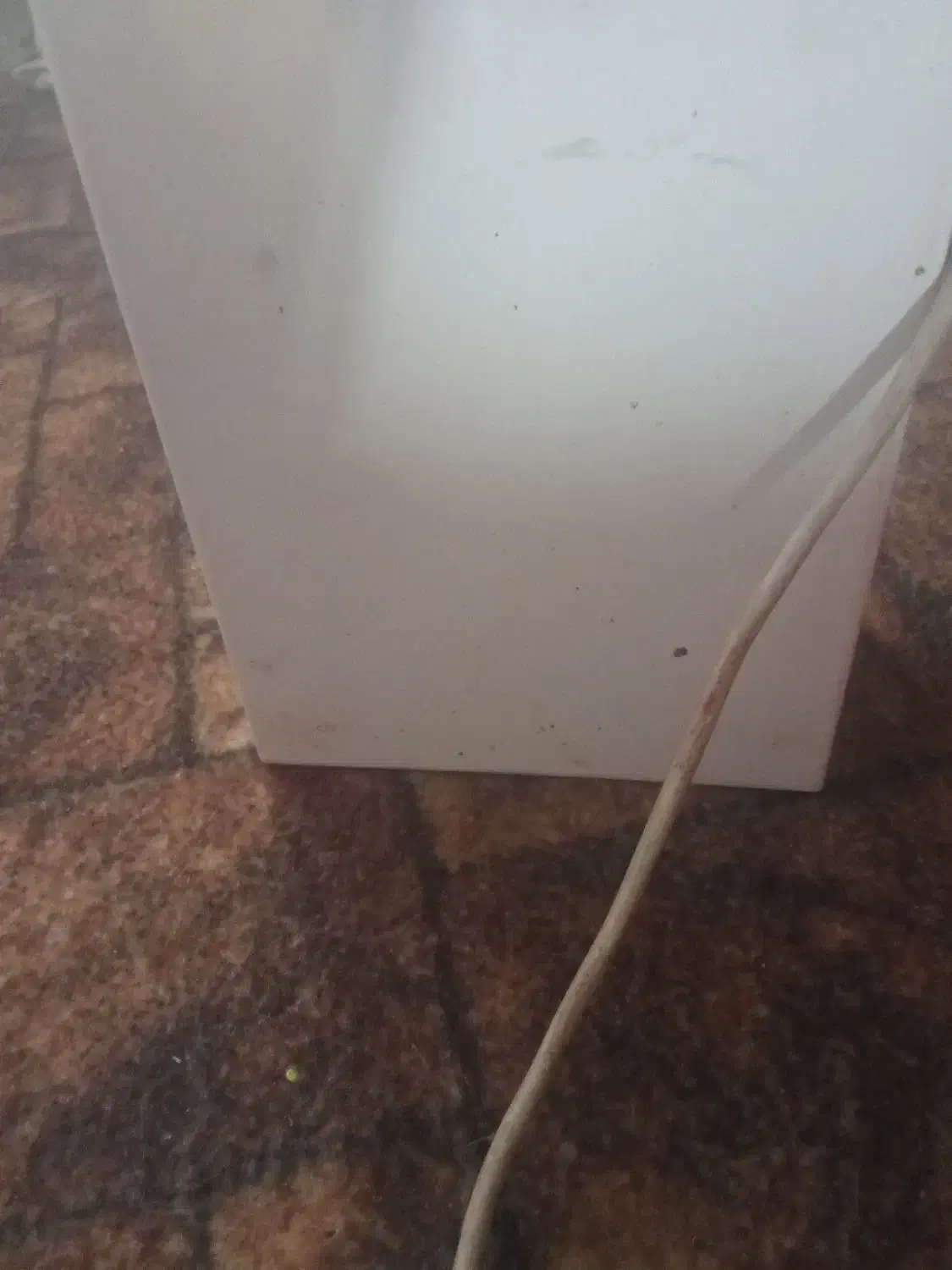 خرید ضعایعات شما را نقداا خریداریم|خدمات پیشه و مهارت|کلاله, |دیوار