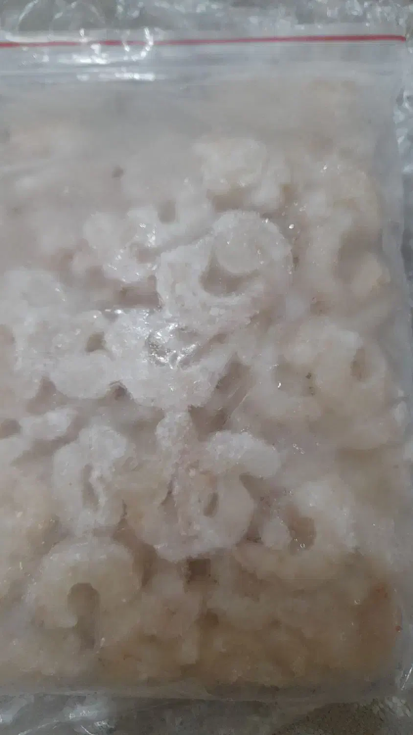 ماهی|ماهی|بندر امام خمینی, |دیوار