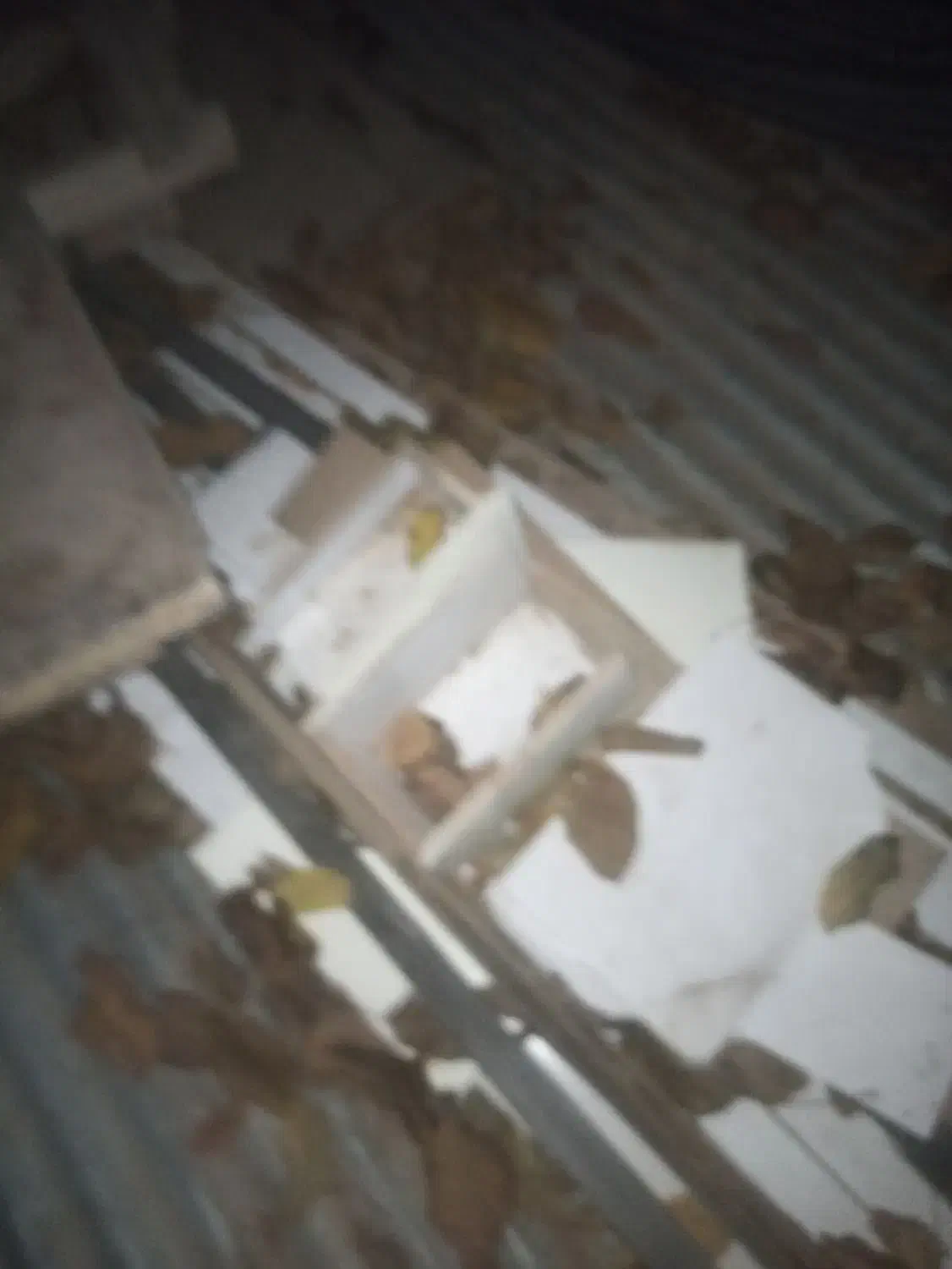 در بزرگ برا گاوداری ودو در چوبی برا اتاق خواب|عمدهفروشی|بیرجند, |دیوار