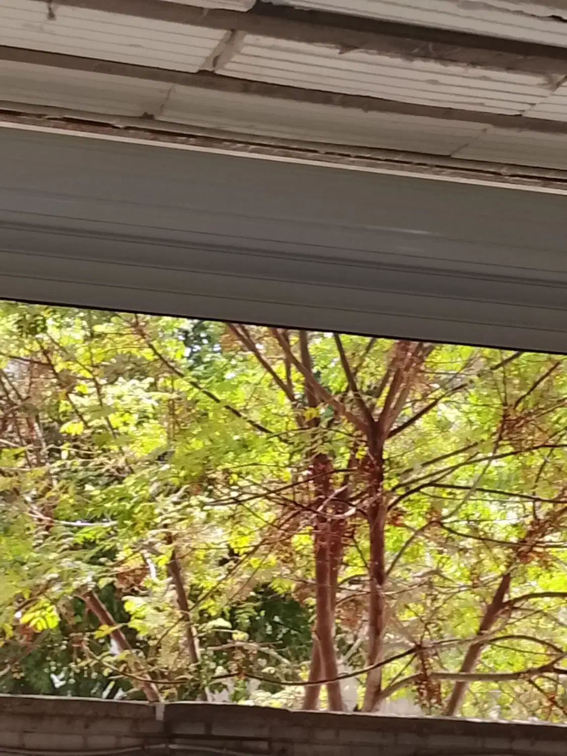 کرکره برقی درب اتوماتیک شیشه سکوریت|خدمات پیشه و مهارت|خرمآباد, |دیوار