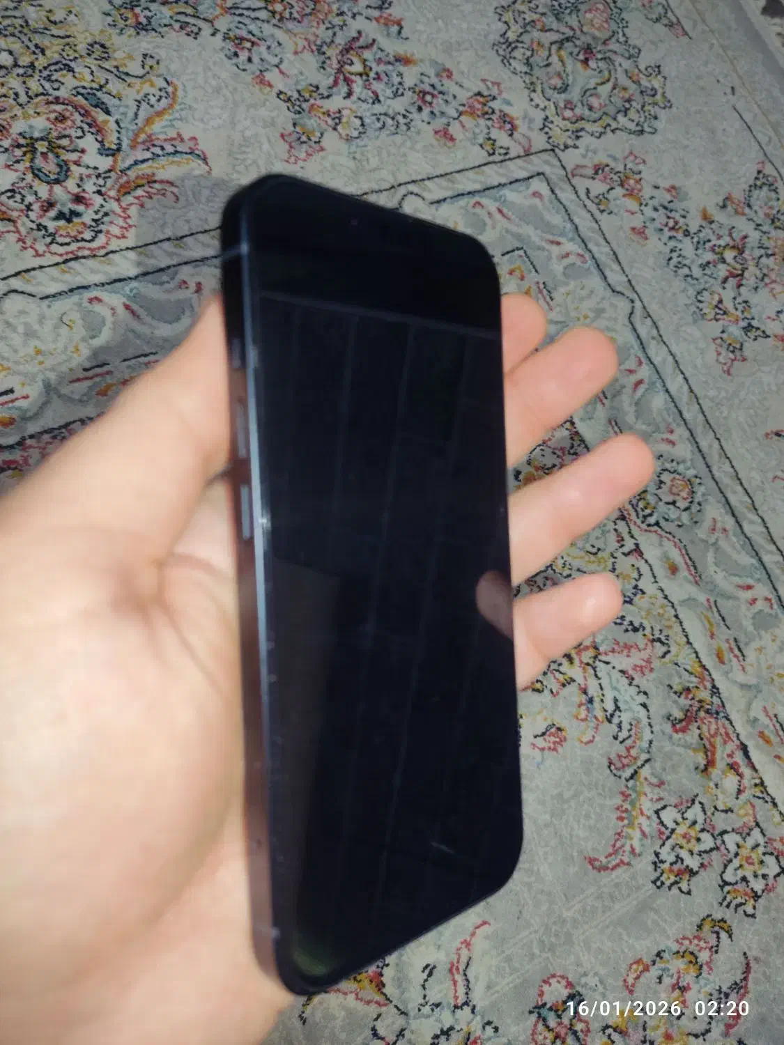 آیفون ۱۳|موبایل|رشت, استقامت ۲|دیوار