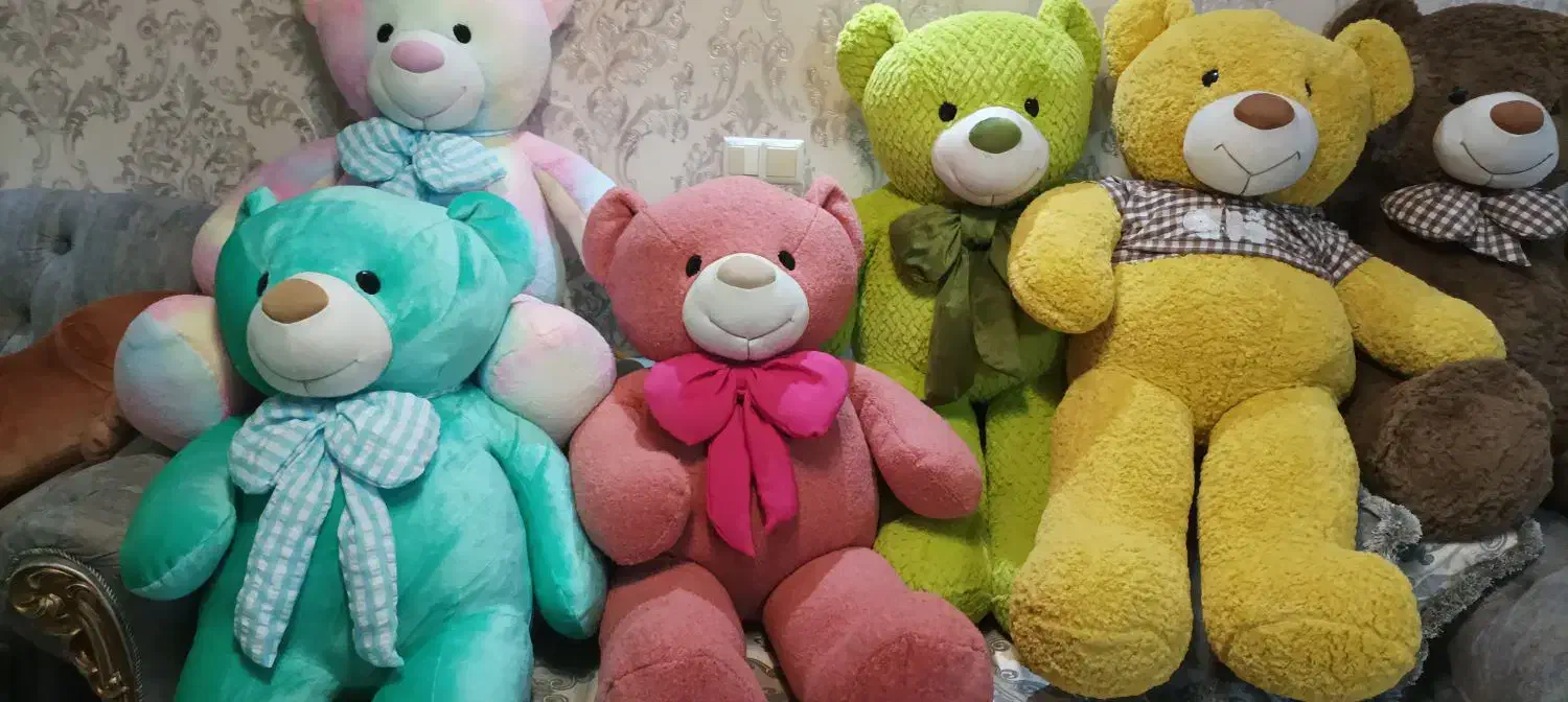 خرس|اسباب‌‌بازی|اردبیل, |دیوار