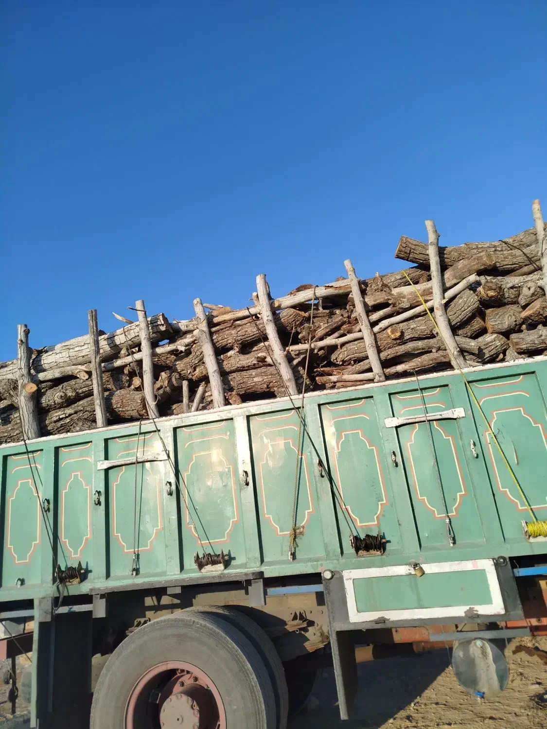 خرید چوب باغی|خدمات باغبانی و درختکاری|شیراز, گویم|دیوار