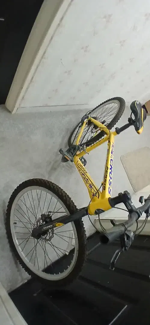 دوچرخه|دوچرخه، اسکیت، اسکوتر|صدرا-فارس, فاز ۱|دیوار