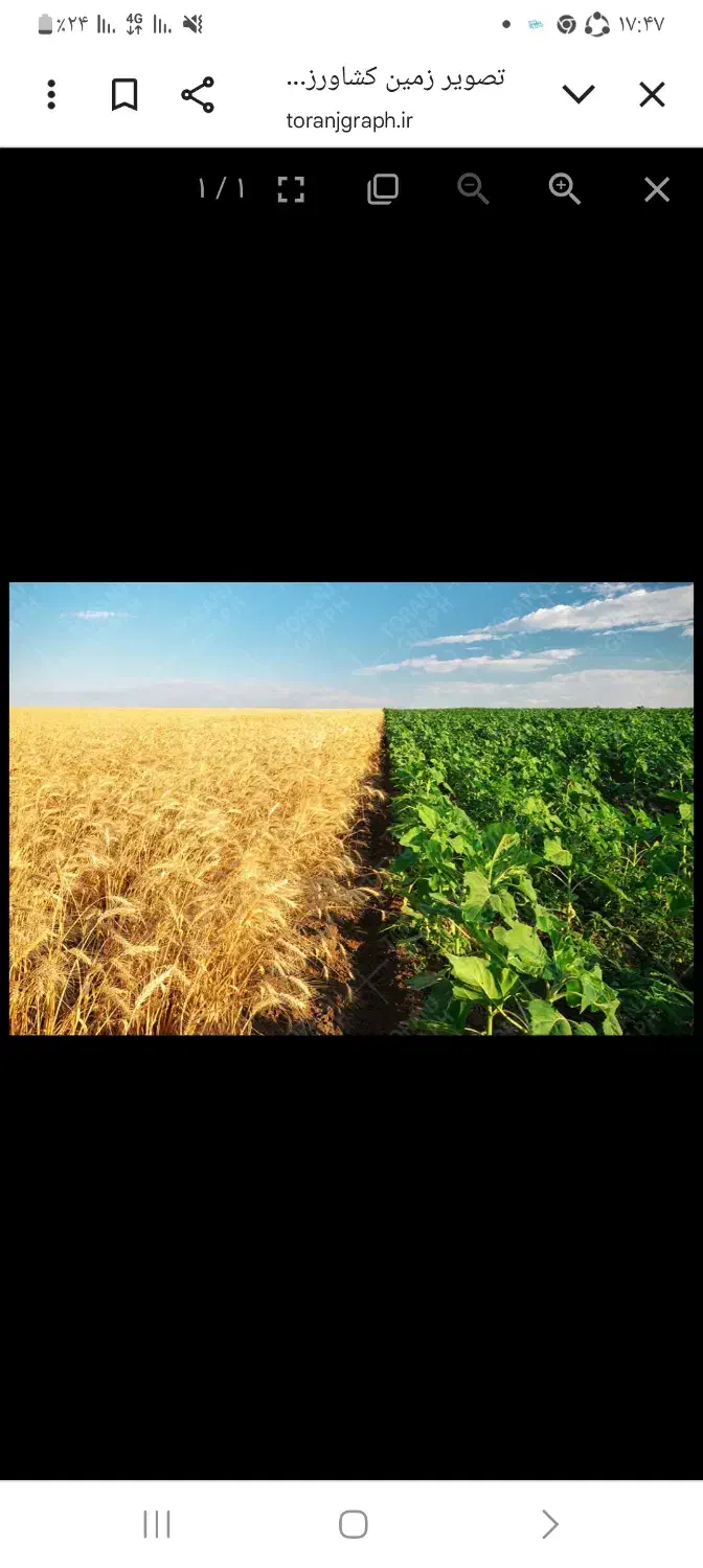 فروش زمین کشاورزی با موقعیت عالی|فروش زمین و ملک کلنگی|داران, |دیوار