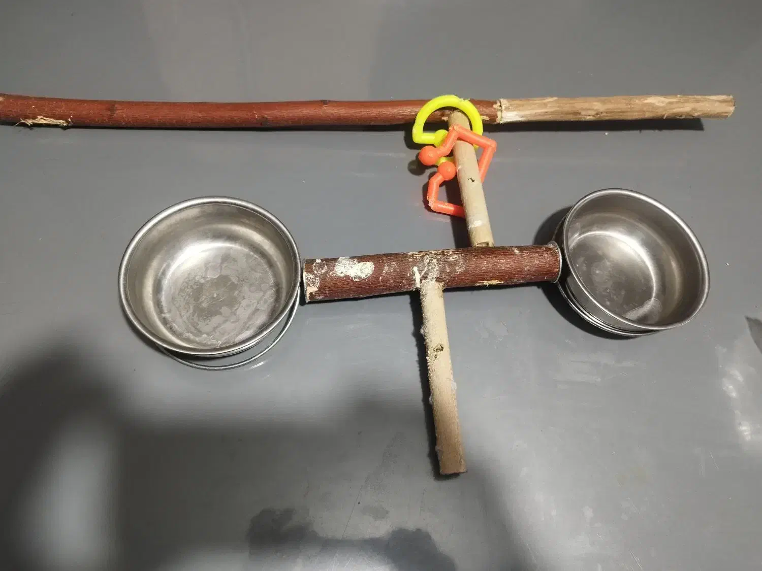 قفس|لوازم جانبی حیوانات|خمینیشهر, |دیوار