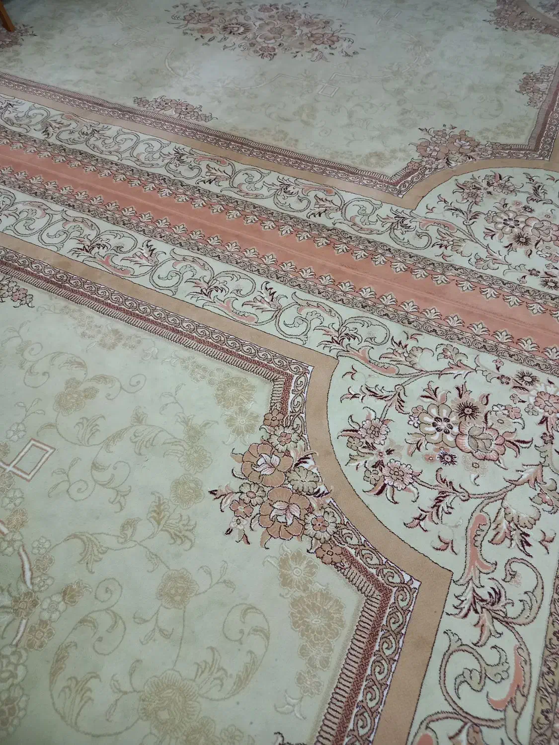 قالی ۱۲متری|فرش|تربت جام, جامی|دیوار