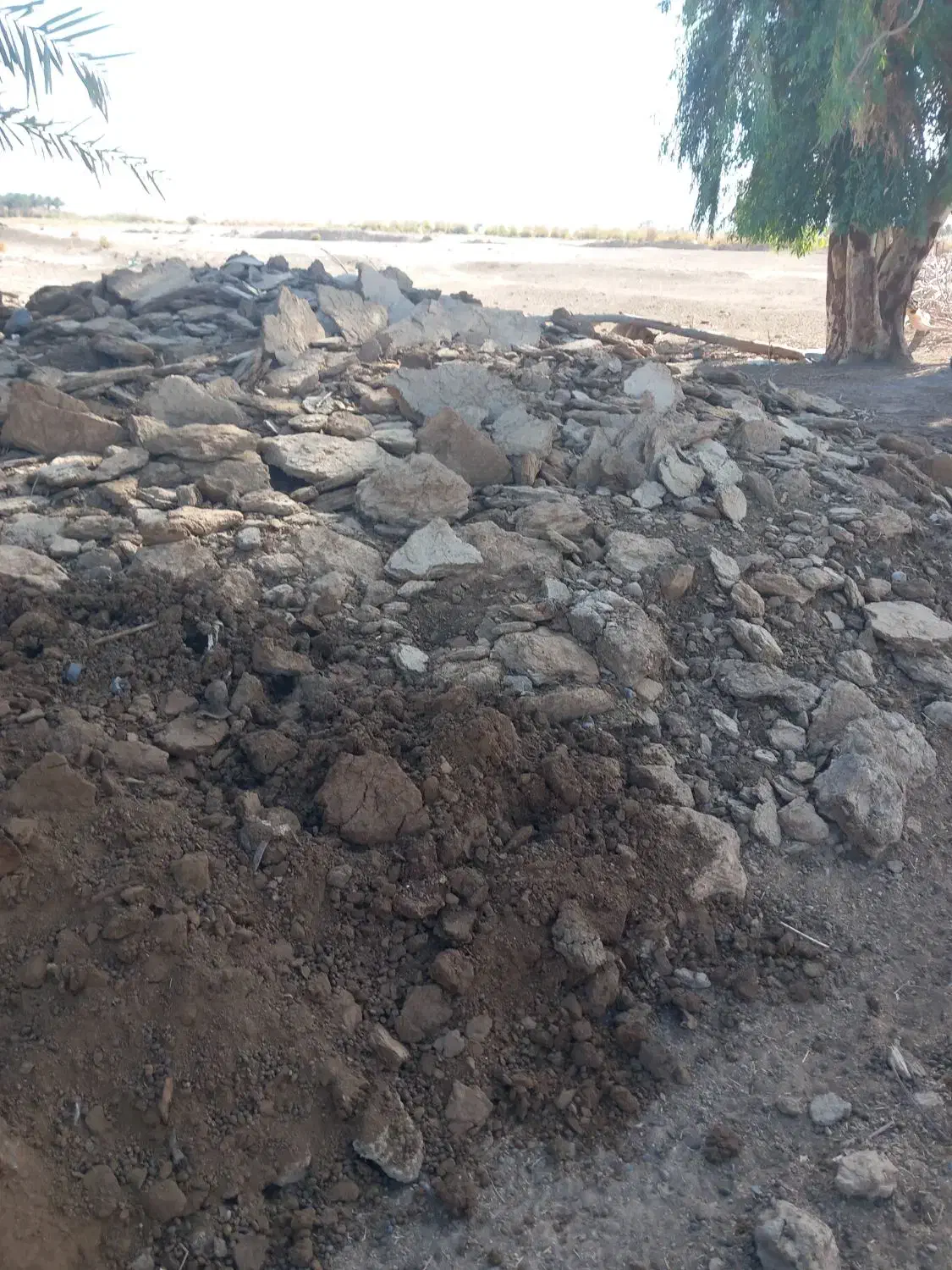 کود گاو گوسفند قاطی|لوازم جانبی حیوانات|جیرفت, |دیوار