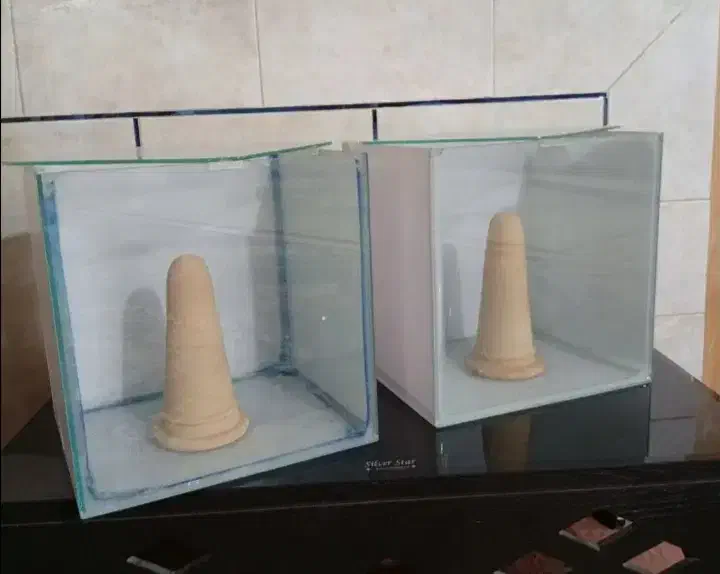 آکواریوم خاص|ماهی|فلاورجان, |دیوار