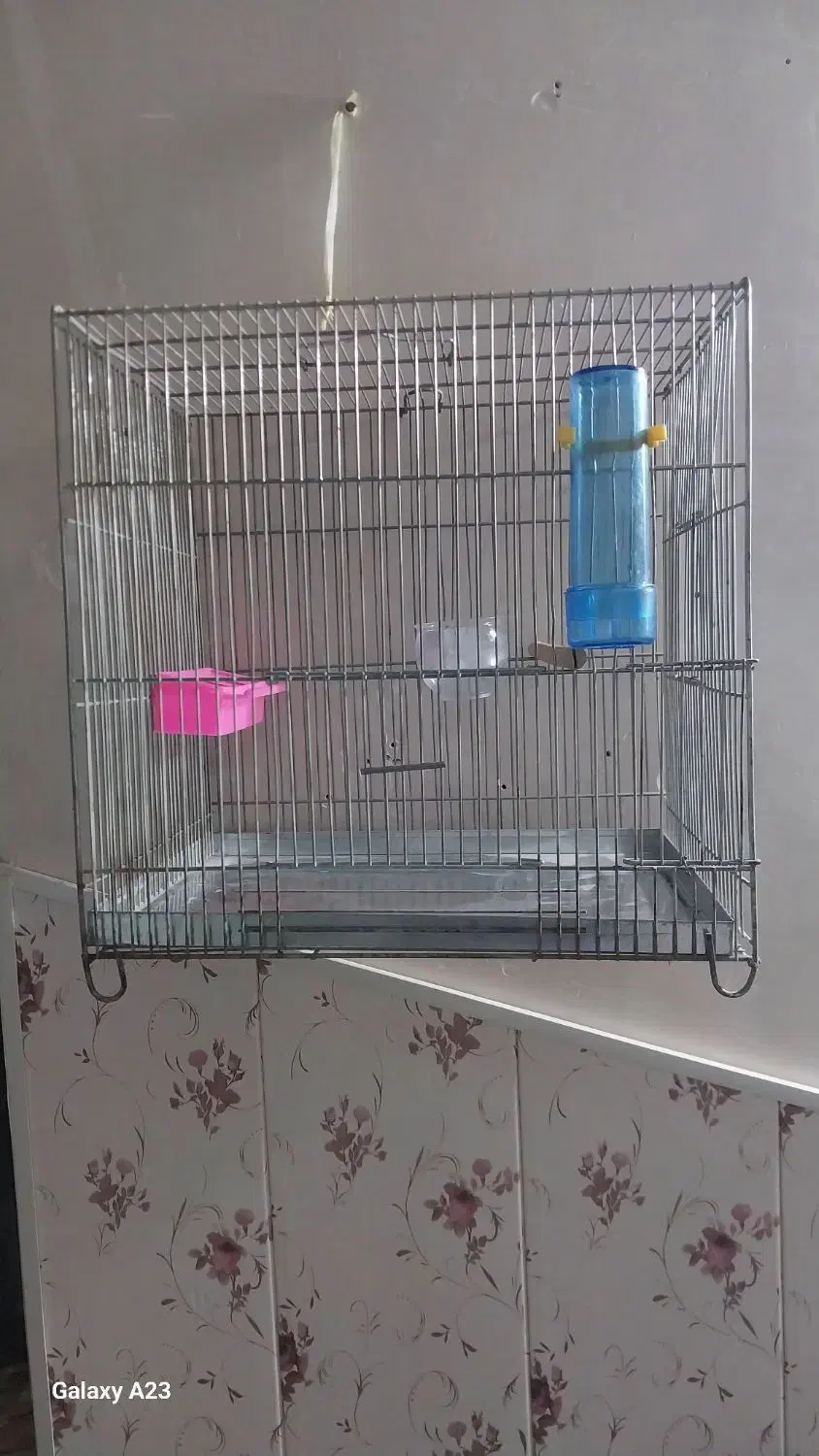 قفس نو|لوازم جانبی حیوانات|فولادشهر, زاینده رود|دیوار
