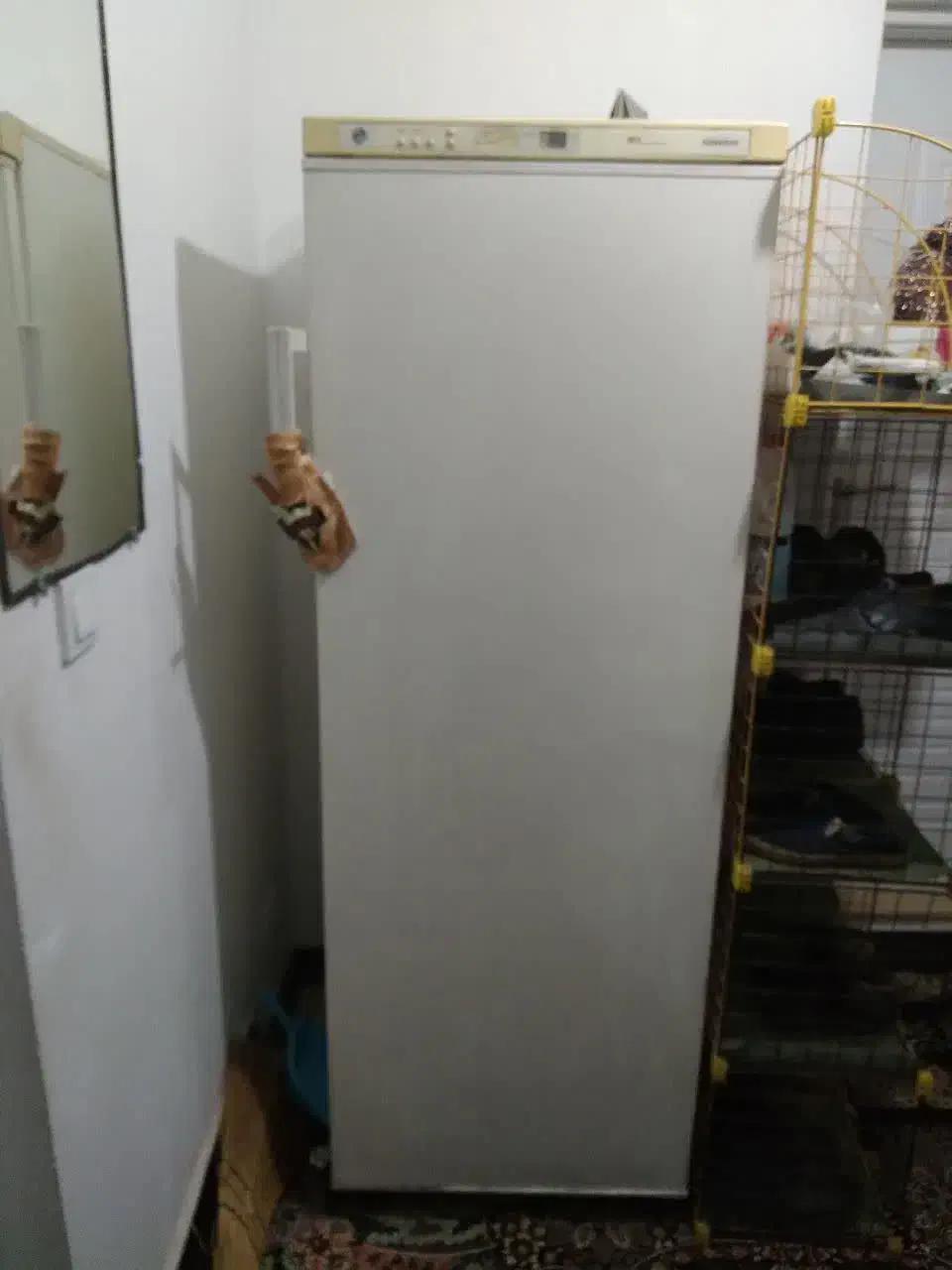 ۲ دستگاه فریزر و یخچال فریزر قیمت عالی|یخچال و فریزر|رشت, لاکان|دیوار