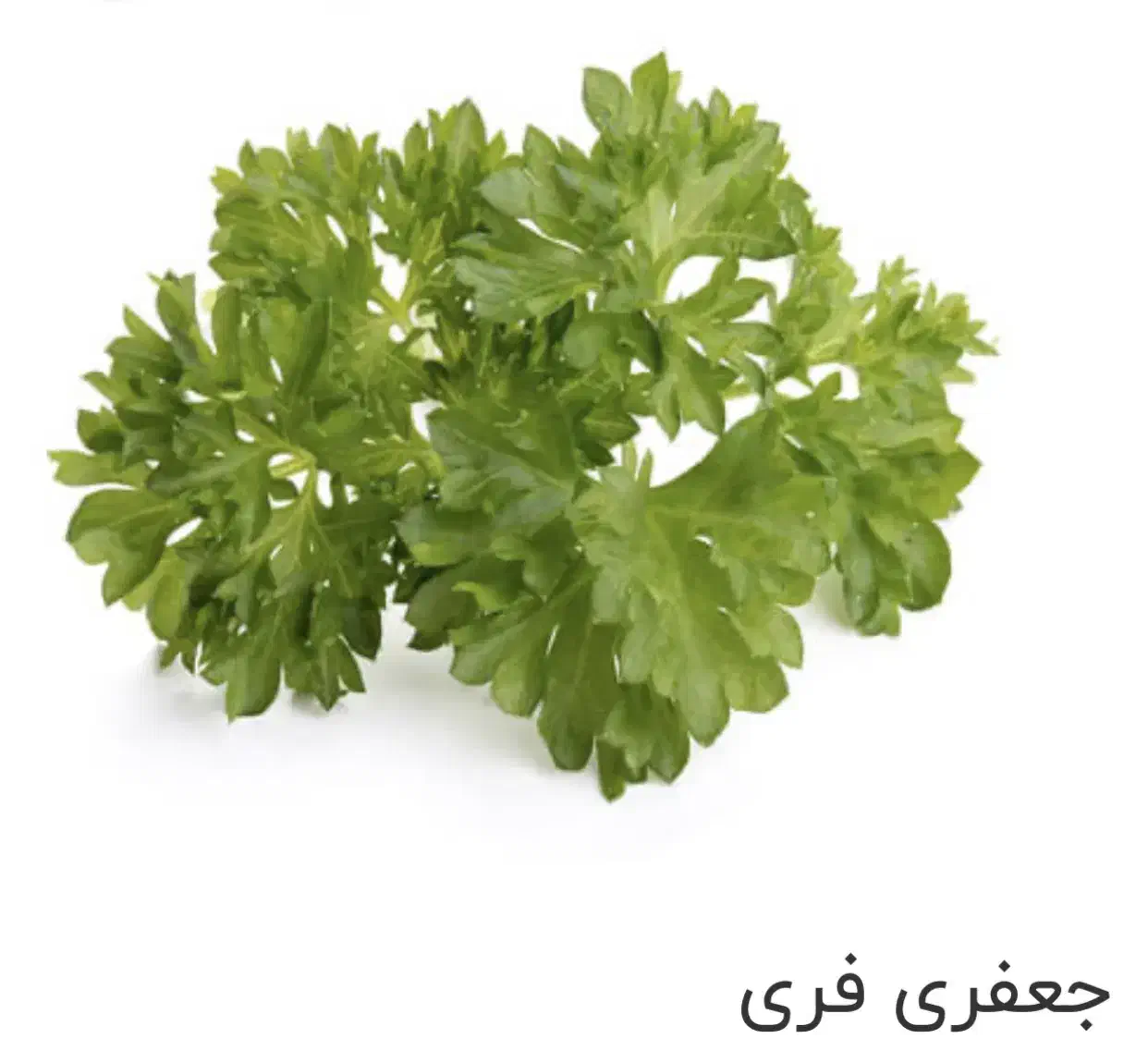 سبزی خارجی و کالاهای فرش|خوردنی و آشامیدنی|تهران, مرزداران|دیوار