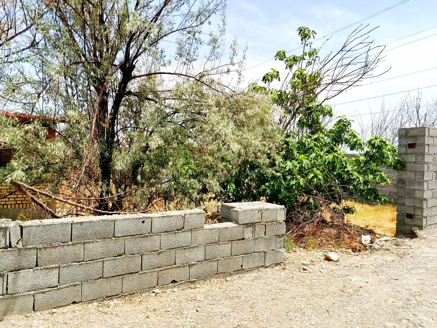 تصویر 2