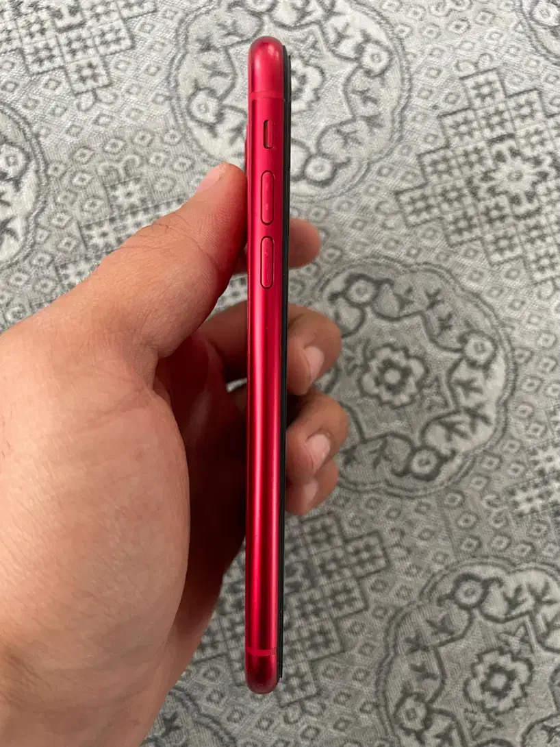 اپل ایفون 11|موبایل|همدان, |دیوار