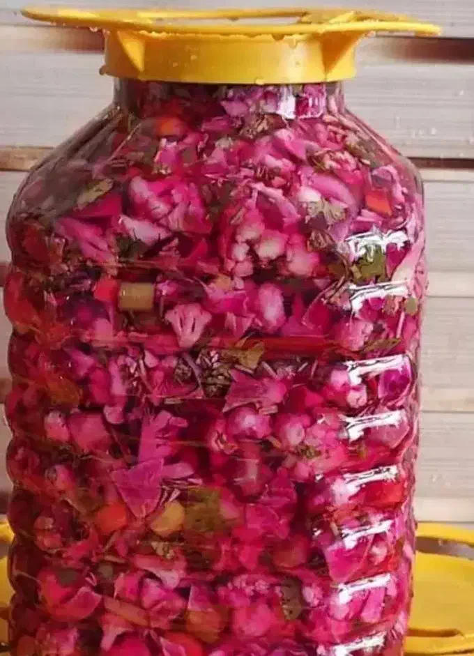 ترشی با طعم بی نظیر|خوردنی و آشامیدنی|قم, شاه ابراهیم|دیوار