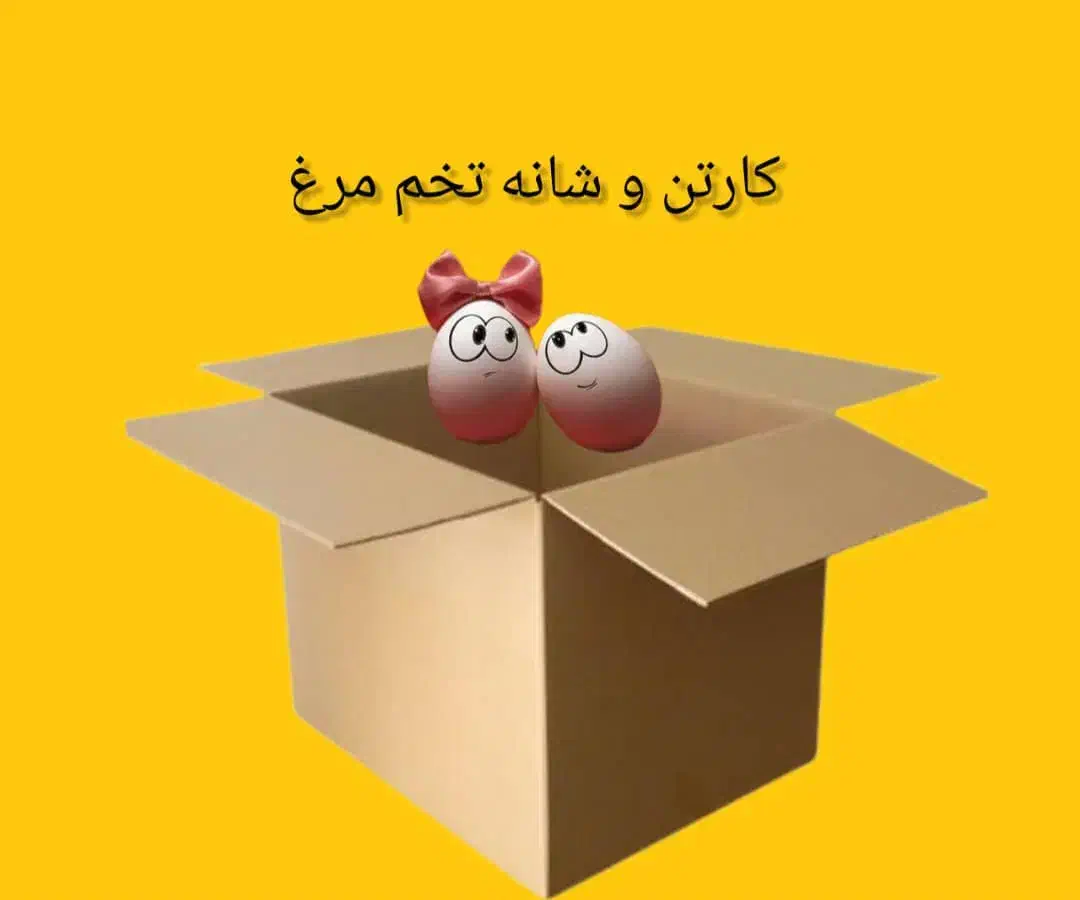 کارتن و شانه تخم مرغ|عمده‌فروشی|قنوات, |دیوار