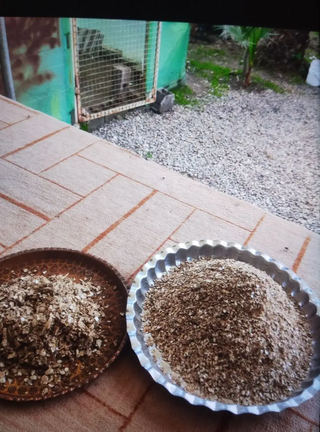 پوست بادام آسیاب شده برای دامداری|گل و گیاه طبیعی|رودبنه, |دیوار