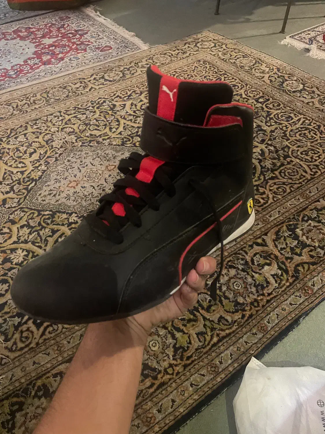 کفش اسپرت Puma x Ferrari|کیف، کفش، کمربند|شیراز, درکی|دیوار