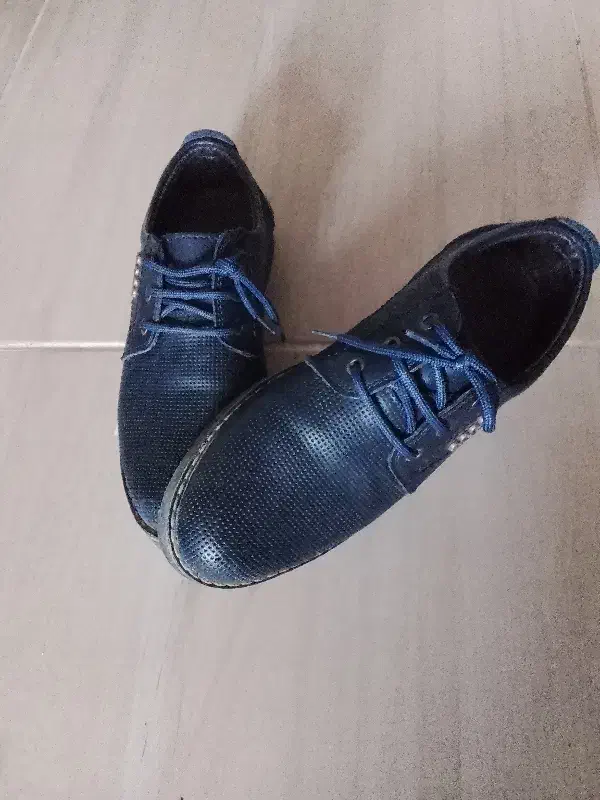 کفش|کیف، کفش، کمربند|ارومیه, |دیوار