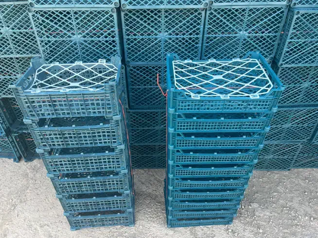 مجموعه تولیدی و فروش سبدهای پلاستیکی|عمده‌فروشی|تهران, خلیج فارس|دیوار