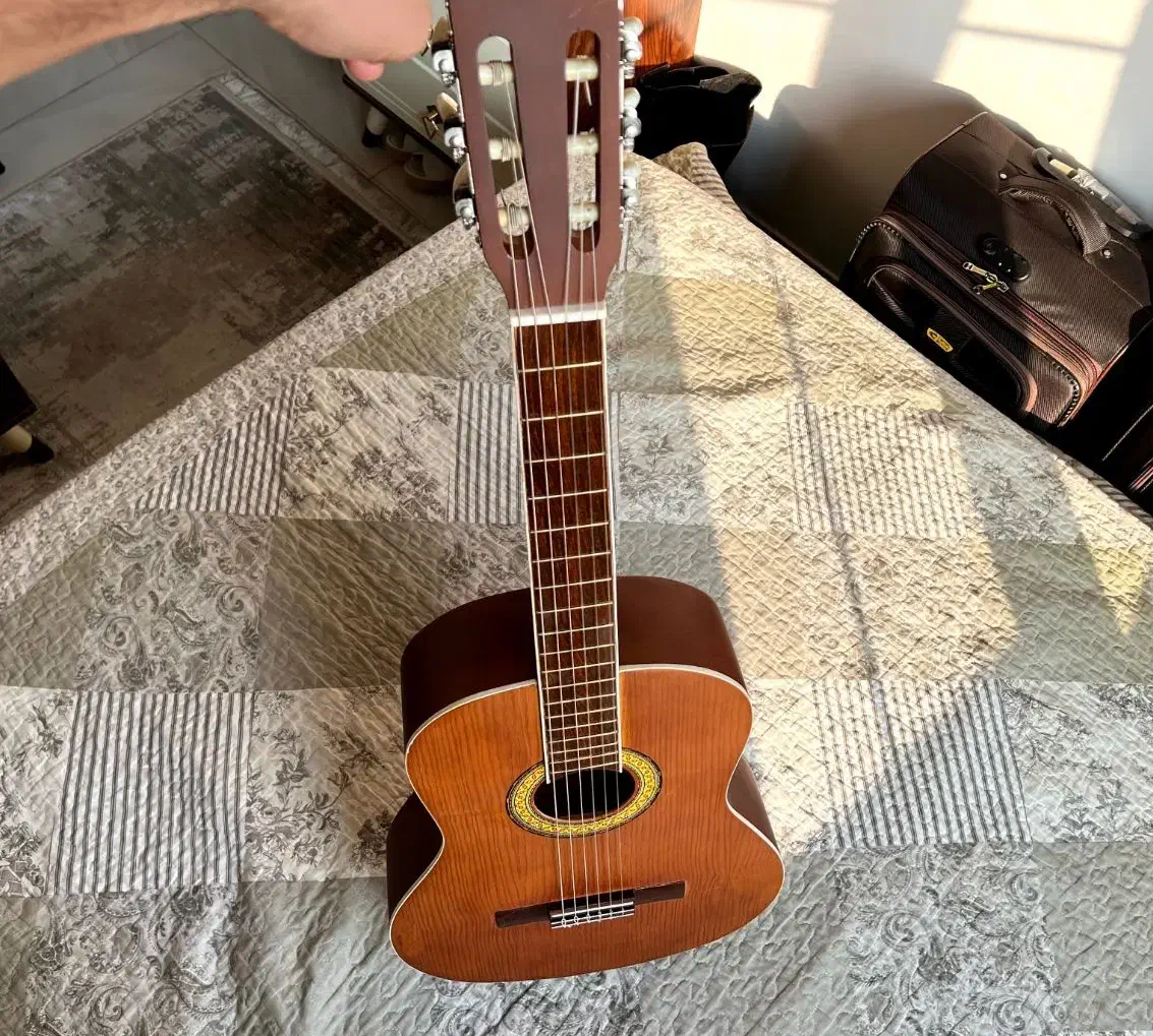 گیتار یاماها C40 حرفه ای نو آکبند|گیتار، بیس، امپلیفایر|رشت, گلسار|دیوار