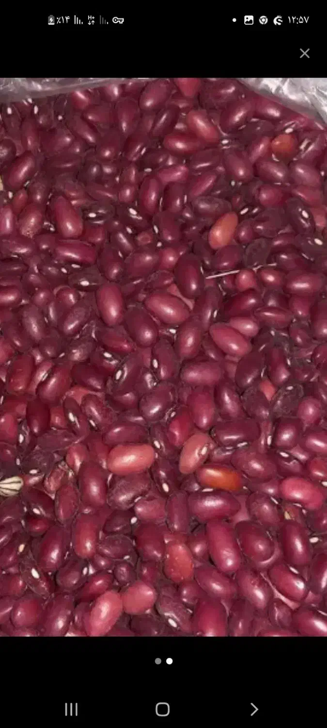 لوبیا قرمز|خوردنی و آشامیدنی|فریدونشهر, |دیوار