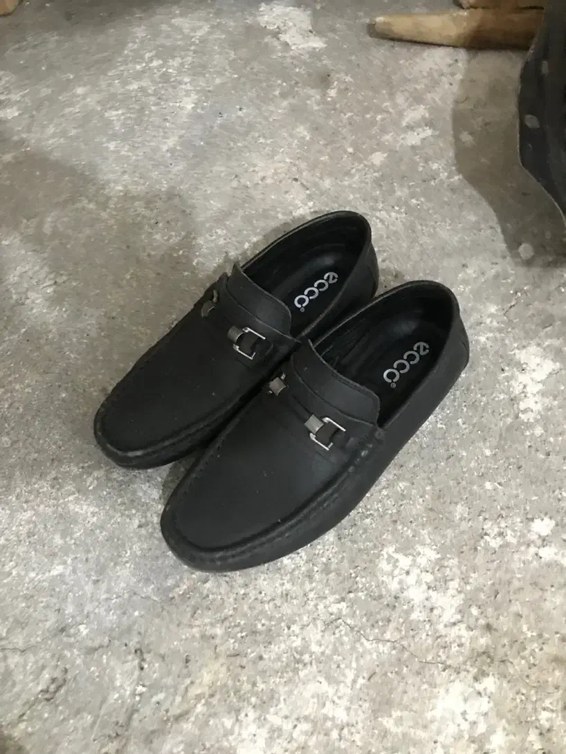 فروش کلاه و کفش|کیف، کفش، کمربند|اردبیل, |دیوار