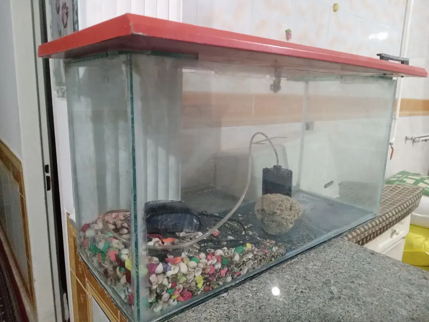 یک عدد آکواریوم به همراه یک DVD و دیجیتال|ماهی|دورود, |دیوار