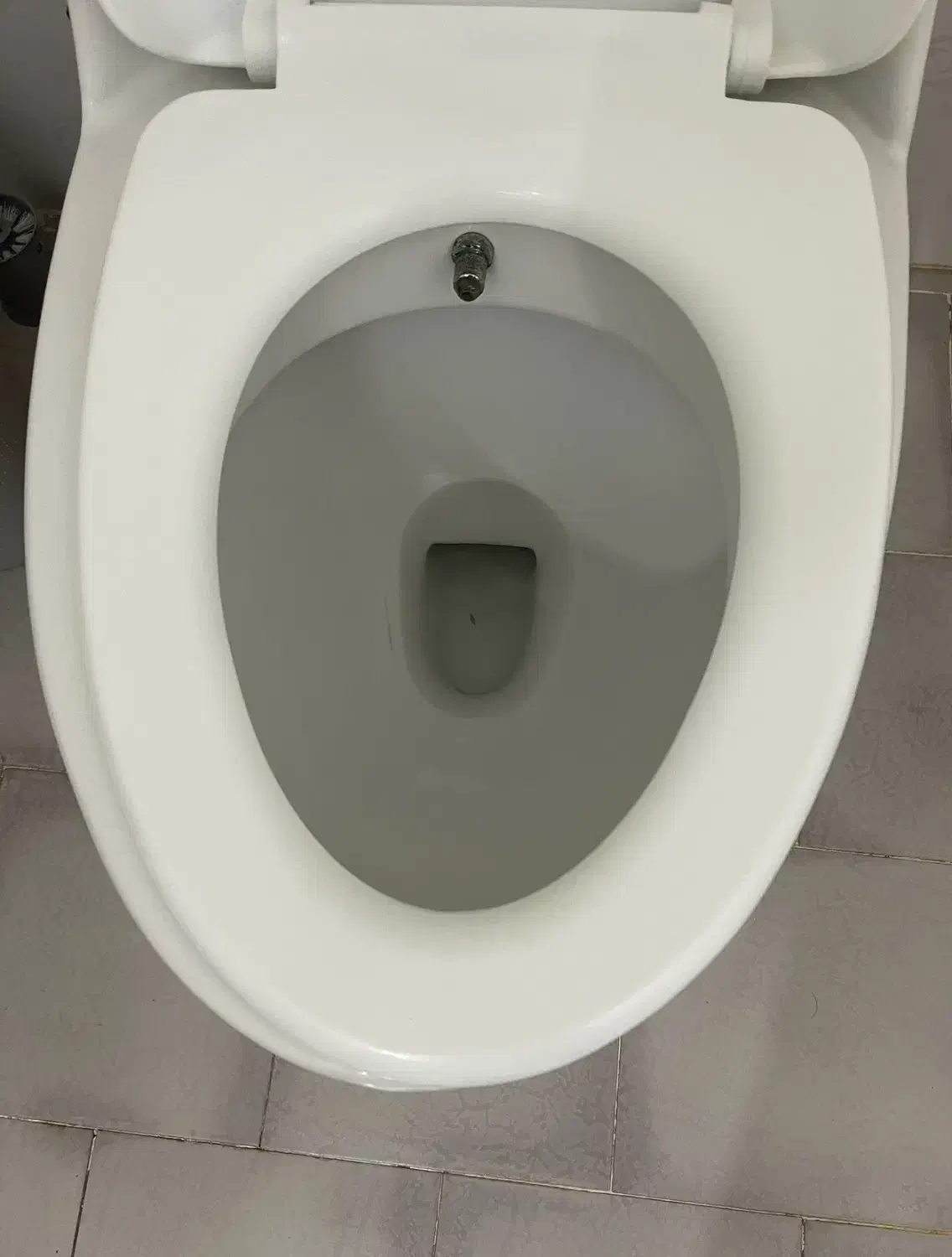 توالت فرنگی|لوازم سرویس بهداشتی|تبریز, |دیوار