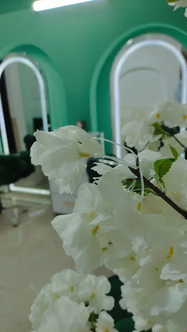 اجاره لاین در سالن زیبایی|اجارهٔ دفتر کار، اتاق اداری، مطب|شاهین‌شهر, مخابرات (شهید بهشتی)|دیوار