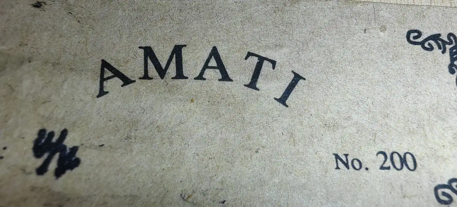 ویولون آماتی|ویولن|تهران, پرستار|دیوار