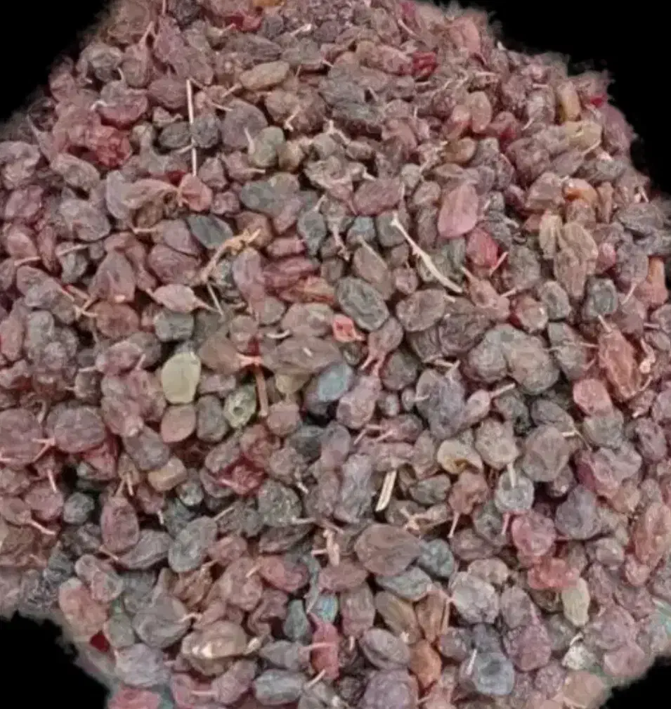 کشمش آفتابی بیدانه ارگانیک|خوردنی و آشامیدنی|هشتگرد, هشتگرد قدیم|دیوار