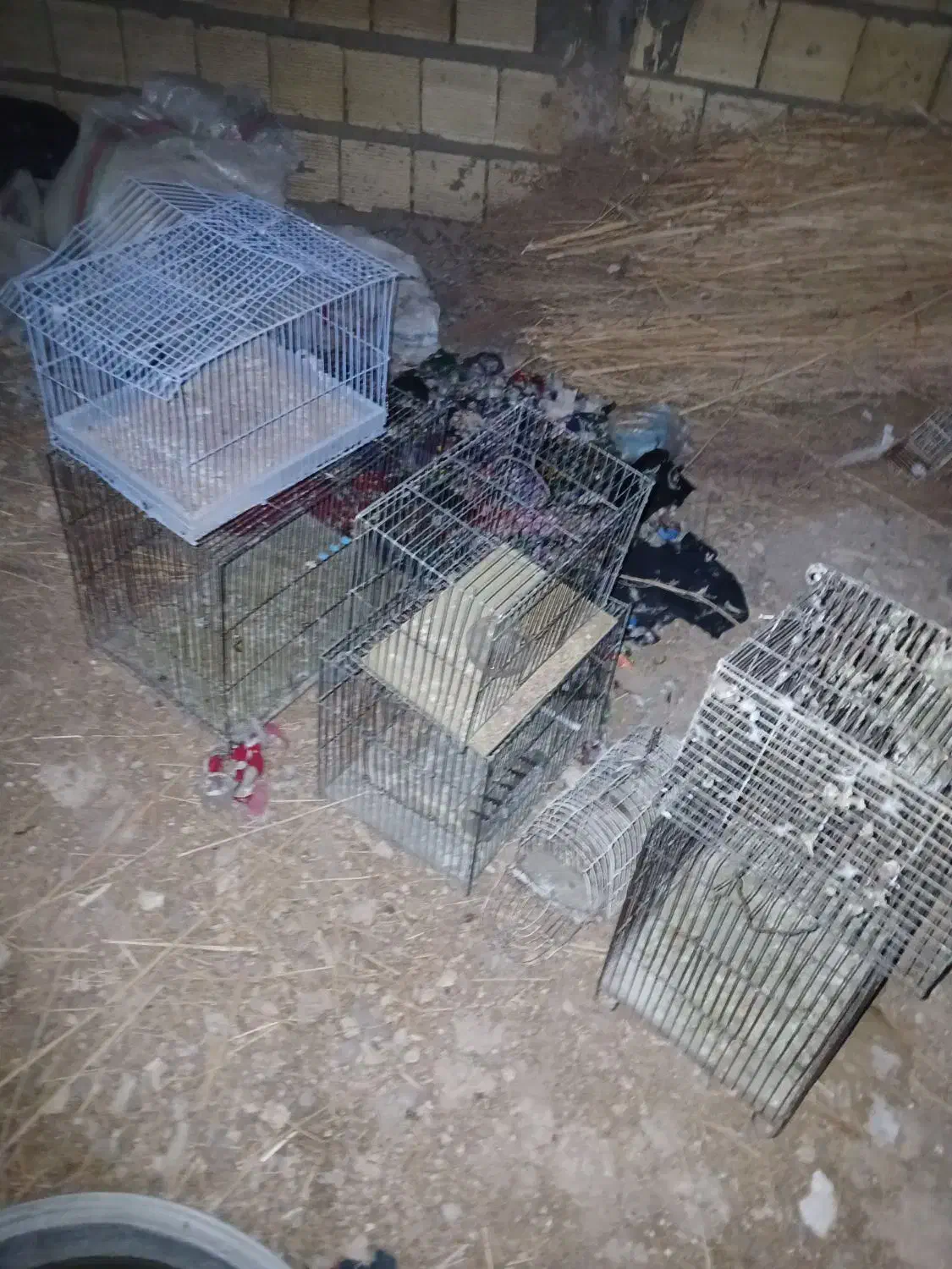 قفس پرنده|لوازم جانبی حیوانات|کنگاور, |دیوار