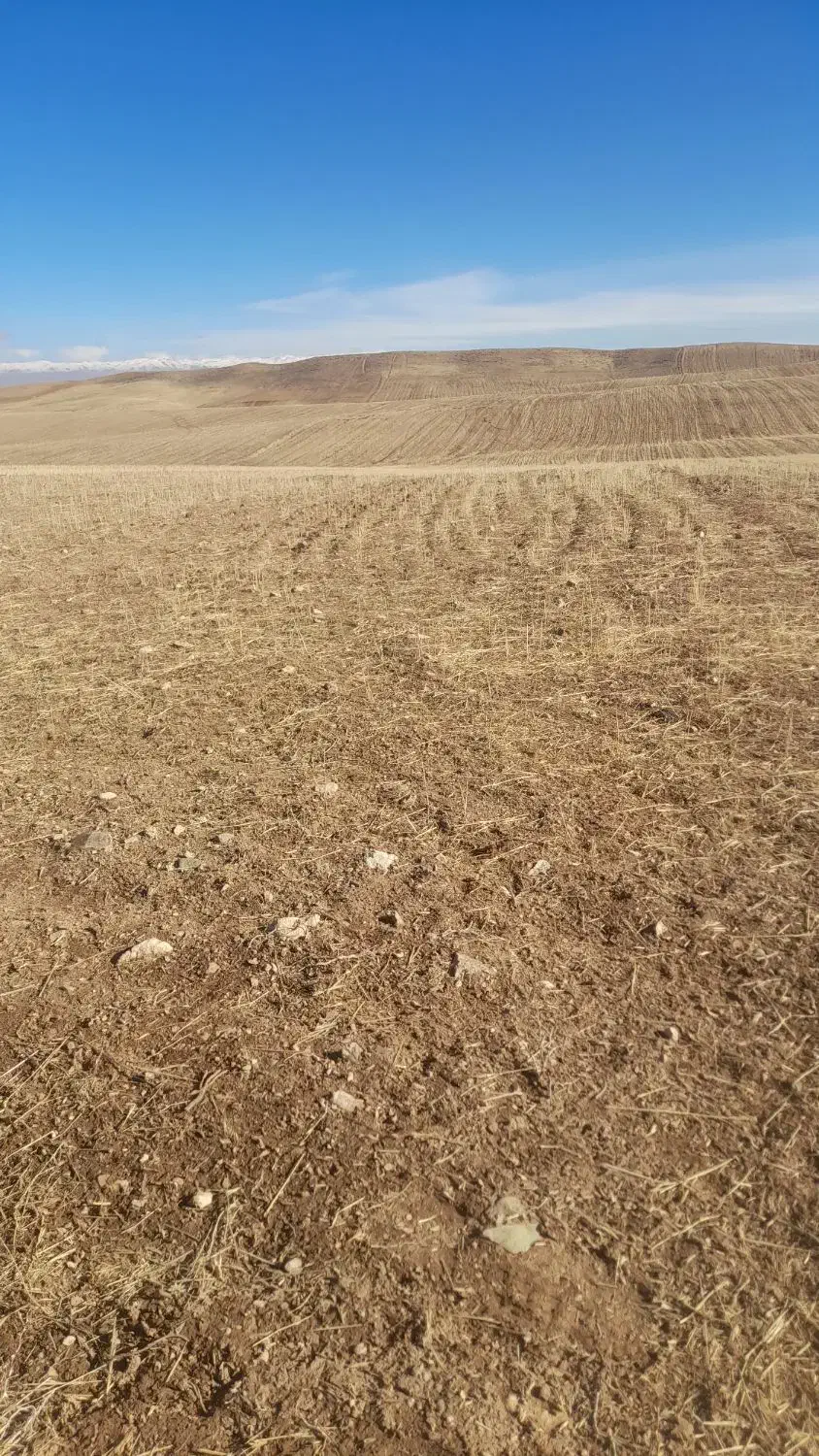 زمین دیم|فروش زمین و ملک کلنگی|زنجانرود, |دیوار