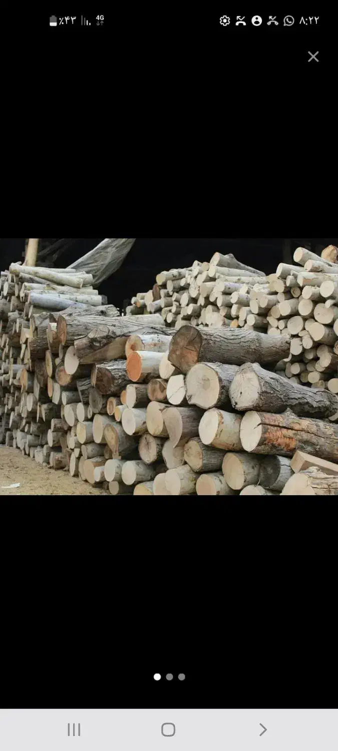 هیزم سیب و سنجد|عمدهفروشی|نگار, |دیوار