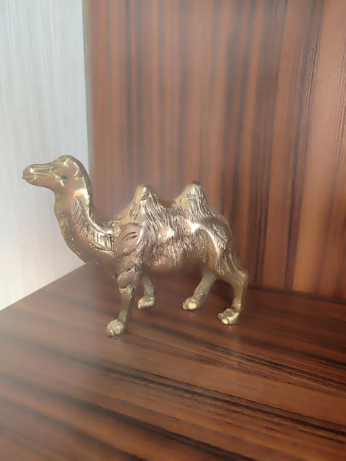 شتر برنجی|مجسمه، تندیس، ماکت|ورامین, ورامین|دیوار